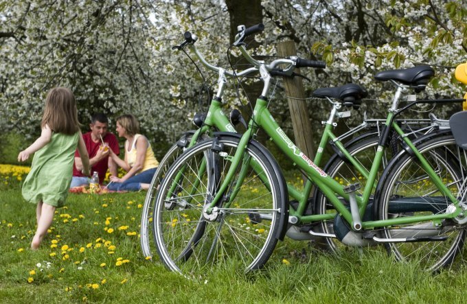 picknick-gezin-bloesem