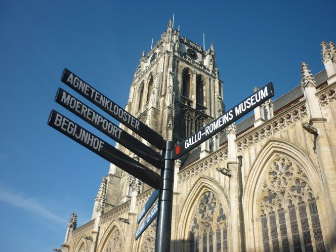 Basiliek_003