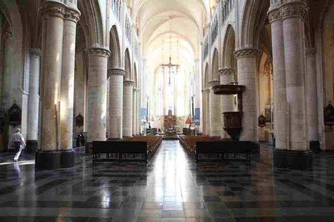 Herschaalde kopie van Basiliek_016